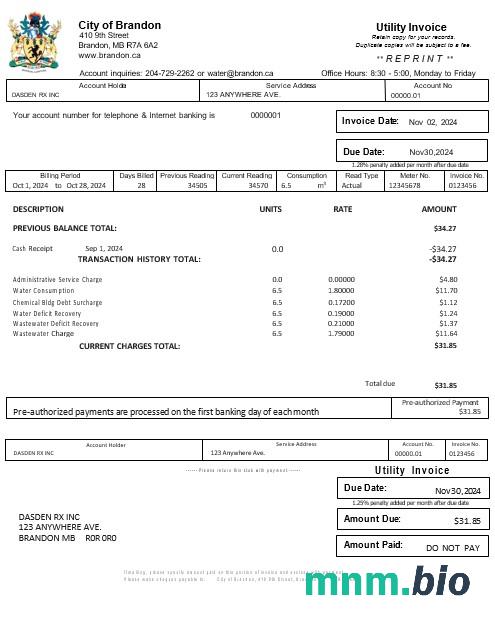 USA BRANDON MISSISSIPPI rachunek za usługi komunalne Word i szablon PDF